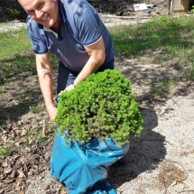 Reinigungs und Reparaturtag20180428-007 Reinigungs und Reparaturtag20180428-007