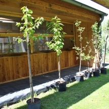 Reinigungs und Reparaturtag20180428-043 Reinigungs und Reparaturtag20180428-043